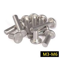 Заклепка 19х6 мм 31011/2 Заклепка 19х6 мм 31011/2