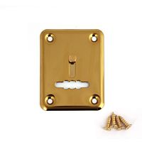 Накладка декоративная Avers DP-01-S-G-shutter Накладка декоративная Avers DP-01-S-G-shutter