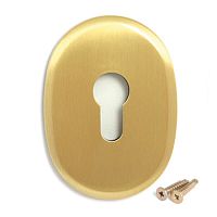 Накладка декоративная Апекс DP-C-10-GМ/1шт/ (цилиндр.) 00017190 Накладка декоративная Апекс DP-C-10-GМ/1шт/ (цилиндр.) 00017190