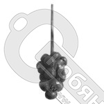 Виноград труба 1406Т фото 2 Виноград труба 1406Т фото 2