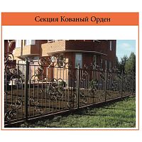 Секция забора Кованый Орден (цена за м2) Секция забора Кованый Орден (цена за м2)