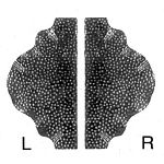 Дверная фурнитура 8607Т Дверная фурнитура 8607Т