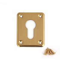 Накладка декоративная Avers DP-01-C-G Накладка декоративная Avers DP-01-C-G