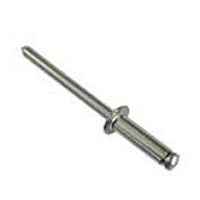 Заклепка вытяжная комбинированная. Сталь-сталь 4,8х12 /250/ Заклепка вытяжная комбинированная. Сталь-сталь 4,8х12 /250/