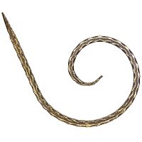 Завиток 190х310 мм 293 Иран Завиток 190х310 мм 293 Иран