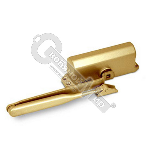 Доводчик DORMA-TS 77 EN-3 (60кг), золото 1/12 76050102 