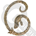 Вензель 120х160 мм 982 Иран фото 2 Вензель 120х160 мм 982 Иран фото 2