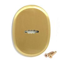 Накладка декоративная Апекс DP-S-10-GМ /1шт/ (сувальд.) Накладка декоративная Апекс DP-S-10-GМ /1шт/ (сувальд.)