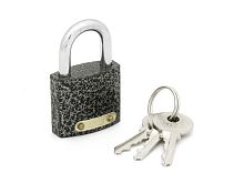 Замок навесной ФЗ 303F-30, (6/96) 108899 Замок навесной ФЗ 303F-30, (6/96) 108899