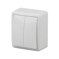 Выключатель двойной, открытой установки, 10АХ-250В, белый, ЭРА Эксперт, /16/, 11-1204-01 Выключатель двойной, открытой установки, 10АХ-250В, белый, ЭРА Эксперт, /16/, 11-1204-01