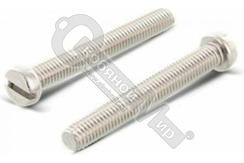 Винт DIN84  М3*6 цинк, SL 5.0*0.8  аналог ГОСТ 1491-80 (200)