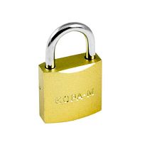 Замок навесной ЗН-810-25 мм (2кл.) 16876 Замок навесной ЗН-810-25 мм (2кл.) 16876