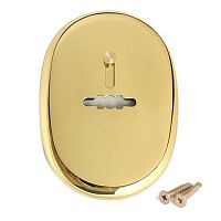 Накладка декоративная Апекс DP-S-10-G-shutter /1шт/ (сувальд.) 00017780 Накладка декоративная Апекс DP-S-10-G-shutter /1шт/ (сувальд.) 00017780