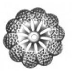 Цветок штампованный 68х68х1 мм 19-2040 Цветок штампованный 68х68х1 мм 19-2040