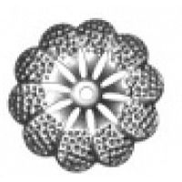 Цветок штампованный 68х68х1 мм 19-2040 Цветок штампованный 68х68х1 мм 19-2040