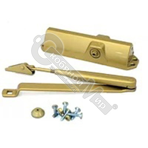 Доводчик DORMA TS 68 EN2-4 (20-120кг), с рычажной тягой ФОП, золото 66400202 Заказной