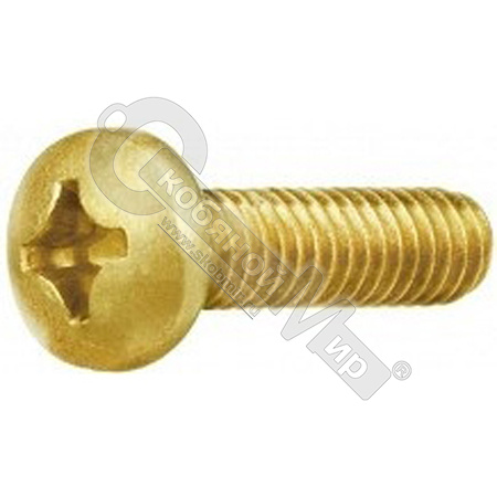 Винт латун.DIN 7985 М5х25 с полукруглой головкой, крестообраз. Винт латун.DIN 7985 М5х25 с полукруглой головкой, крестообраз.