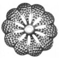 Цветок штампованный 95х95х1 мм 19-2043 Цветок штампованный 95х95х1 мм 19-2043