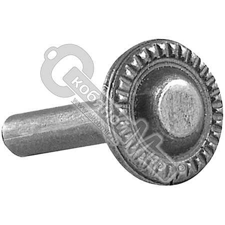 Заклепка 23х7 мм 31012 Заклепка 23х7 мм 31012