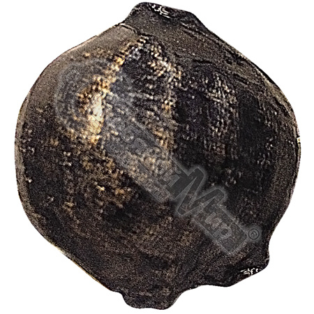 Шар литой d20 мм Виноградина*** Шар литой d20 мм Виноградина***