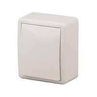 Выключатель одинарный, открытой установки, слоновая кость, 10АХ-250В, /16/, ЭРА Эксперт, 11-1201-02 Выключатель одинарный, открытой установки, слоновая кость, 10АХ-250В, /16/, ЭРА Эксперт, 11-1201-02