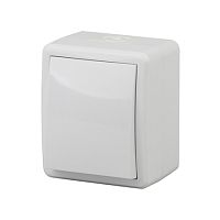 Выключатель одинарный, открытой установки, IP54, белый, ЭРА Эксперт, /16/, 11-1401-01 Выключатель одинарный, открытой установки, IP54, белый, ЭРА Эксперт, /16/, 11-1401-01