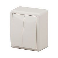 Выключатель двойной, открытой установки, 10АХ-250В, слоновая кость, ЭРА /16/, 11-1204-02 Выключатель двойной, открытой установки, 10АХ-250В, слоновая кость, ЭРА /16/, 11-1204-02