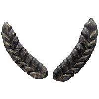 Декор-Колос штампованный 19-1211 5,5х17,3х2,0 мм пара 2 шт Декор-Колос штампованный 19-1211 5,5х17,3х2,0 мм пара 2 шт